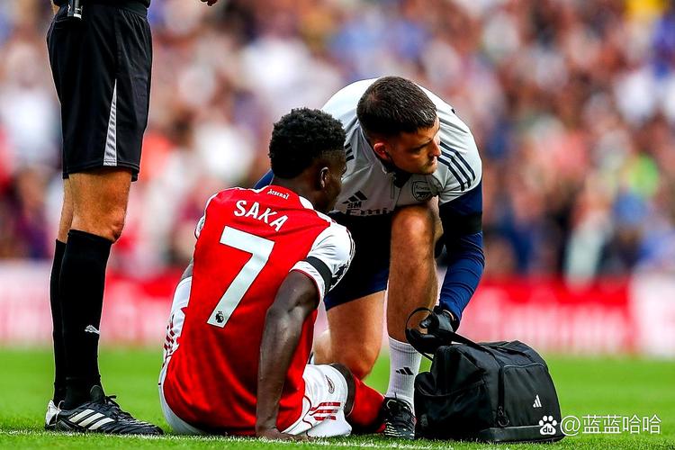 都是主力！阿森纳本月已有10人伤缺退出国家队：萨卡赖斯加布
